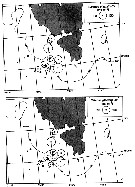 Espce Calanus glacialis - Carte de distribution 83