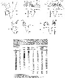 Espce Acartia (Acartiura) hudsonica - Carte de distribution 17