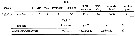 Espce Labidocera acutifrons - Carte de distribution 9