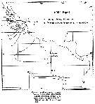 Espce Subeucalanus subtenuis - Carte de distribution 9