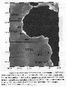 Espce Calanoides natalis - Carte de distribution 15