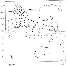 Espce Subeucalanus subcrassus - Carte de distribution 11