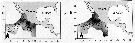 Espce Euchaeta indica - Carte de distribution 4