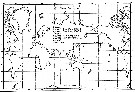 Espce Pareucalanus sewelli - Carte de distribution 3