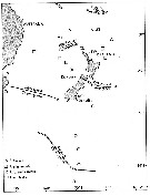 Species Aetideus australis - Distribution map 3