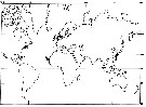 Species Platycopia compacta - Distribution map 3