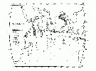 Species Candacia truncata - Distribution map 3