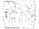 Espce Candacia bispinosa - Carte de distribution 3