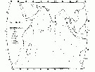 Espce Candacia tenuimana - Carte de distribution 3