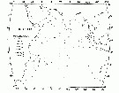 Espce Candacia guggenheimi - Carte de distribution 2