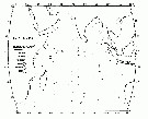 Espce Candacia varicans - Carte de distribution 3