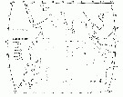 Espce Candacia simplex - Carte de distribution 4