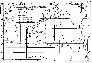 Espce Oithona longispina - Carte de distribution 3