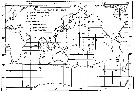 Species Oithona setigera - Distribution map 3