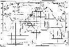 Espce Oithona fragilis - Carte de distribution 2