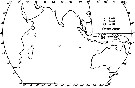 Espce Conaea rapax - Carte de distribution 4