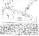 Espce Acartia (Acanthacartia) plumosa - Carte de distribution 3