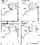 Espce Calanus sinicus - Carte de distribution 5