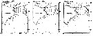Espce Calanus sinicus - Carte de distribution 6