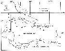 Species Temorites minor - Distribution map 2