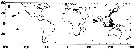 Species Pontella fera - Distribution map 4