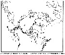 Espce Pseudocalanus major - Carte de distribution 2