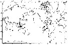 Species Nullosetigera impar - Distribution map 2