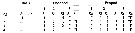 Espce Triconia borealis - Planche 4 de figures morphologiques