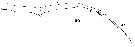 Espce Copilia mirabilis - Planche 10 de figures morphologiques
