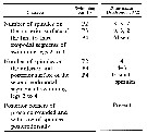 Espce Bestiolina zeylonica - Planche 4 de figures morphologiques
