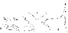 Espce Gaetanus miles - Planche 11 de figures morphologiques