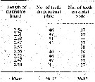 Espce Labidocera pseudacuta - Planche 7 de figures morphologiques
