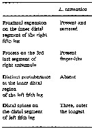 Espce Labidocera tasmanica - Planche 3 de figures morphologiques