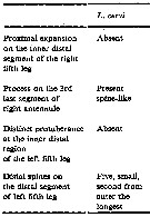 Espce Labidocera cervi - Planche 6 de figures morphologiques