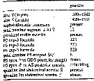 Espce Clytemnestra gracilis - Planche 20 de figures morphologiques