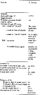 Espce Labidocera farrani - Planche 5 de figures morphologiques
