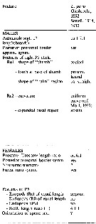 Espce Labidocera pavo - Planche 8 de figures morphologiques