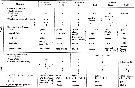 Espce Acartia (Acanthacartia) sinjiensis - Planche 11 de figures morphologiques