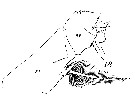 Espce Euchirella galeatea - Planche 9 de figures morphologiques