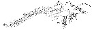 Espce Oithona plumifera - Planche 18 de figures morphologiques