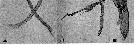 Espce Scottocalanus thomasi - Planche 6 de figures morphologiques