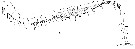 Espce Centropages typicus - Planche 16 de figures morphologiques