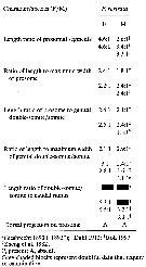 Espce Farranula rostrata - Planche 10 de figures morphologiques