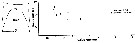 Espce Aetideus armatus - Planche 19 de figures morphologiques