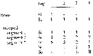 Espce Triconia conifera - Planche 30 de figures morphologiques