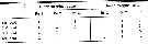 Espce Dioithona oculata - Planche 12 de figures morphologiques