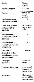 Espce Oithona aruensis - Planche 2 de figures morphologiques