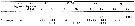 Espce Isias uncipes - Planche 3 de figures morphologiques
