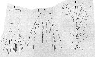 Espce Monstrilla longicornis - Planche 9 de figures morphologiques