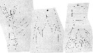 Espce Monstrilla grandis - Planche 23 de figures morphologiques